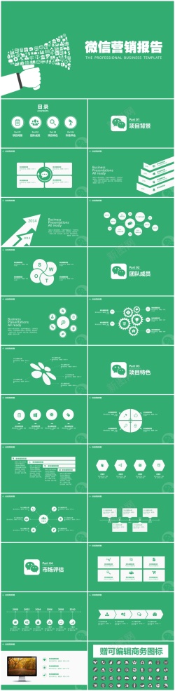 国际商业商业策划(100)