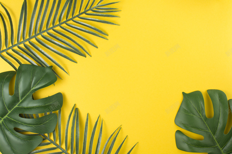 热带植物绿色植被叶子质感森系摄影质感底图jpg设计背景_88icon https://88icon.com 质感 热带 植物 绿色 植被 叶子 森系 摄影 底图