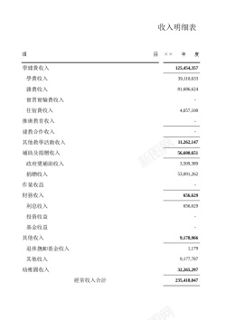 学校红色学校收入明细表