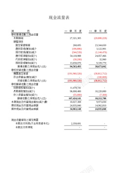 学校现金流量表