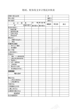 财政财务收支审计情况审核表