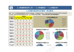 结构人力资源年龄结构分析图表职位维度