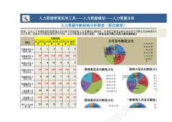 情况分析人力资源年龄结构分析图表职位维度