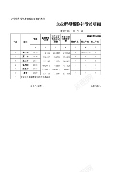 税前弥补亏损明细表